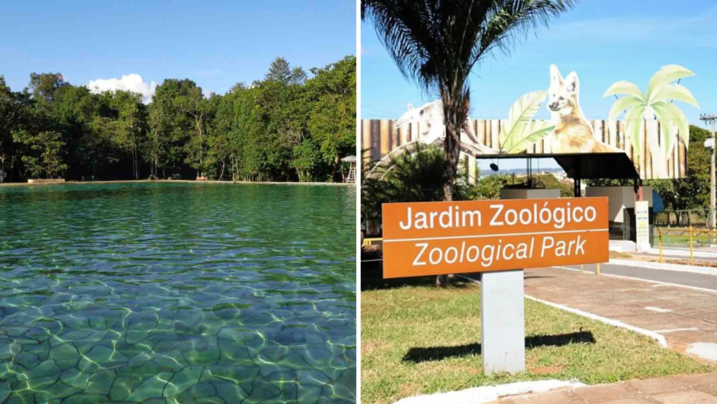 Água Mineral e Zoológico de Brasília